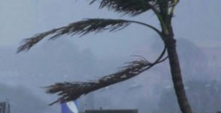 Screenshot 2026-02-06 221216