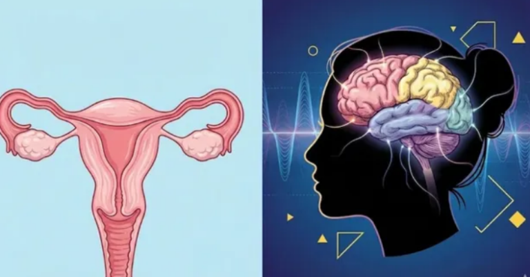 Screenshot 2026-02-08 205027