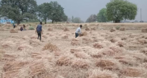 Screenshot 2026-02-09 215126