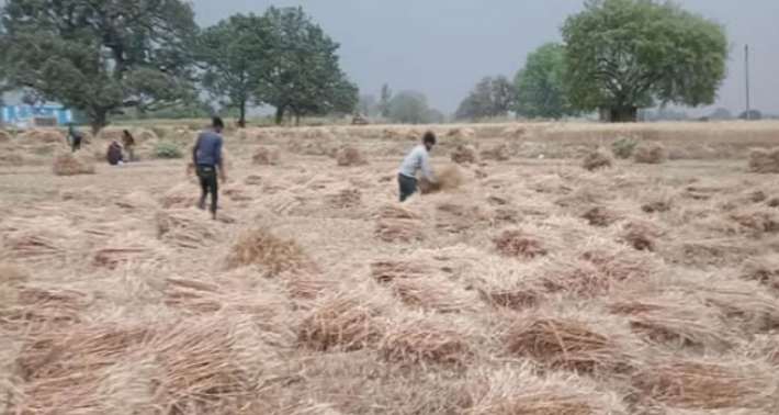 Screenshot 2026-02-09 215126