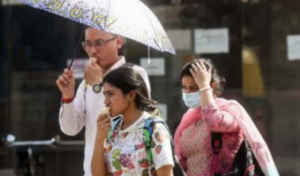 Screenshot 2026-02-10 221330