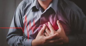 Screenshot 2026-02-11 005330