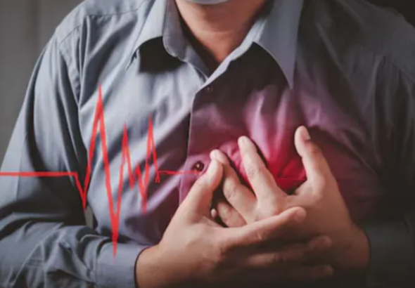 Screenshot 2026-02-11 005330