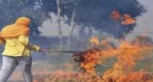 Screenshot 2026-02-11 214415