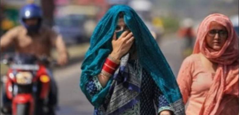 Screenshot 2026-02-12 221010