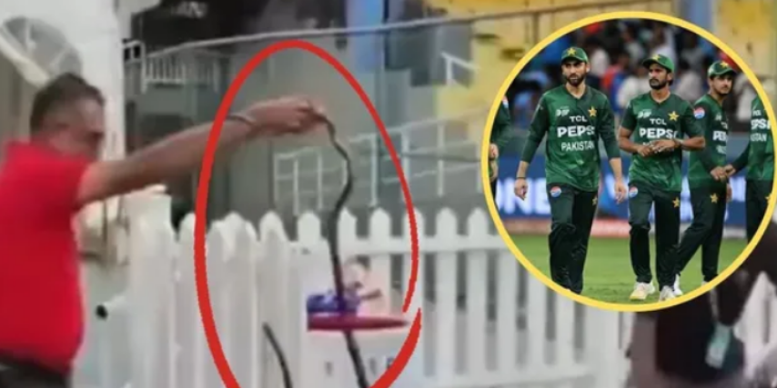 Screenshot 2026-02-15 002340