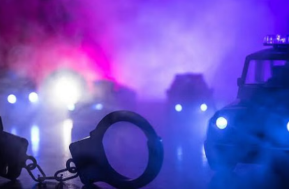 Screenshot 2026-02-15 005018