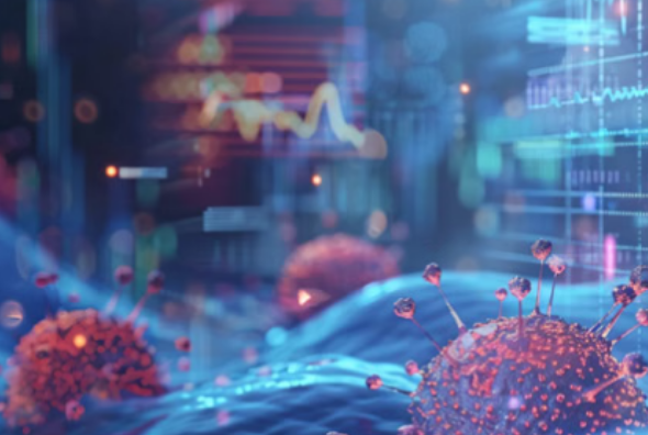 Screenshot 2026-02-15 005129