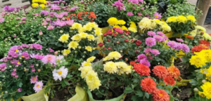 Screenshot 2026-02-17 224040