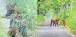 Screenshot 2026-02-18 214309