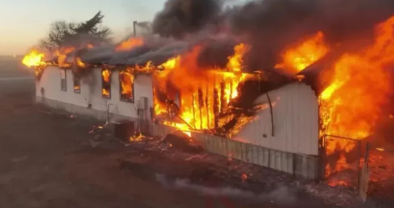 Screenshot 2026-02-18 225820