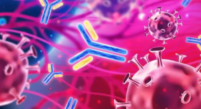 Screenshot 2026-02-19 231114