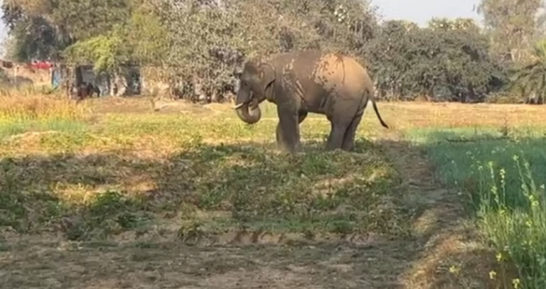 Screenshot 2026-02-19 232212