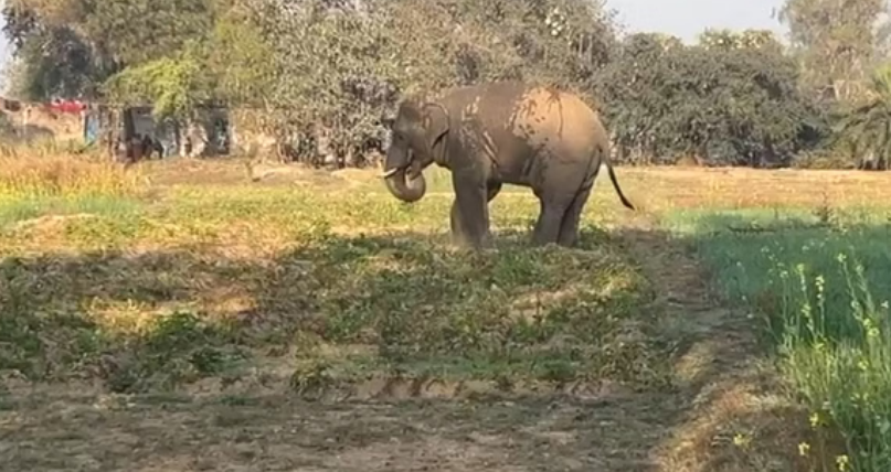 Screenshot 2026-02-19 232212