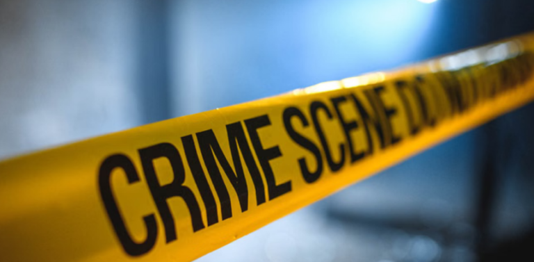 Screenshot 2026-02-19 232510