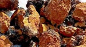 Screenshot 2026-02-24 214126