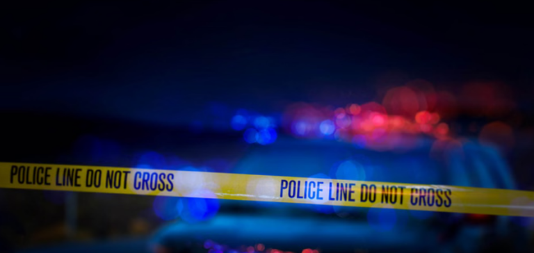 Screenshot 2026-02-25 220246