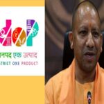 WhatsApp Image 2026-02-12 at 18.38.01