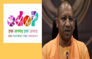 WhatsApp Image 2026-02-12 at 18.38.01