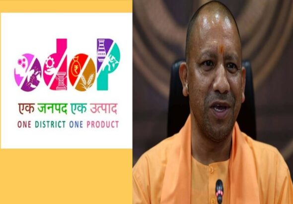 WhatsApp Image 2026-02-12 at 18.38.01