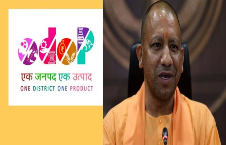 WhatsApp Image 2026-02-12 at 18.38.01