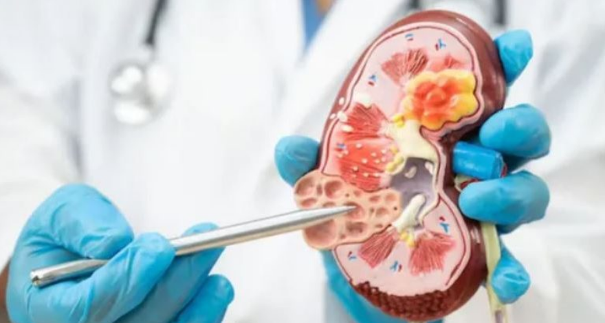 Screenshot 2026-03-11 234212