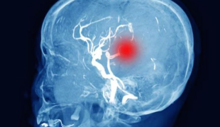 Screenshot 2026-03-13 223817