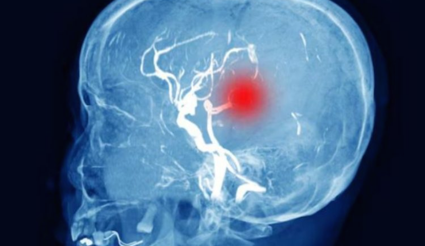 Screenshot 2026-03-13 223817