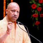 yogi-3-1773850693512