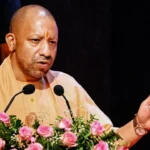 yogi-(2)-1775304575154_v