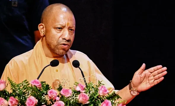 yogi-(2)-1775304575154_v