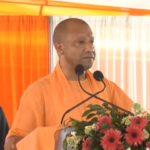 yogi