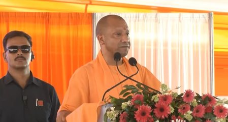 yogi