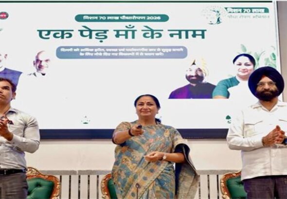 43