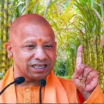 yogi_sugar1-1765262755474
