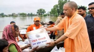 4539042-yogi-2026-09-08t225831.791 (1)