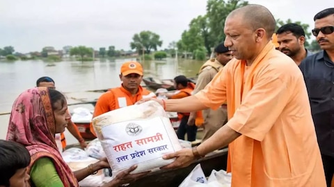 4539042-yogi-2026-09-08t225831.791 (1)