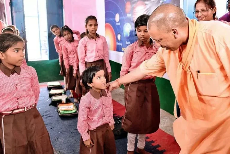 yogi