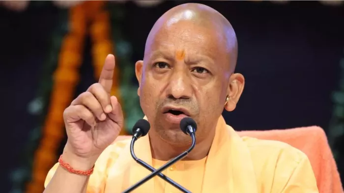05_10_2025-yogi_24071005_14179575_m