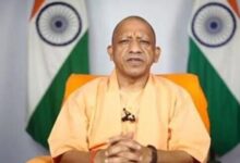 Photo of v
