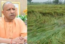 Photo of यूपी में बारिश से तबाही पर CM योगी सख्त, किसानों को फसल नुकसान का मिलेगा मुआवजा